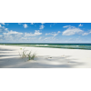Honpo WP | Tidegrass