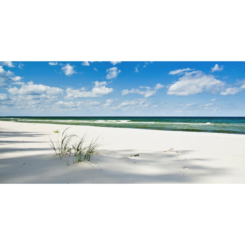 Honpo WP | Tidegrass