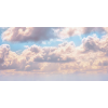 Honpo WP | Where the Sky Built Castles