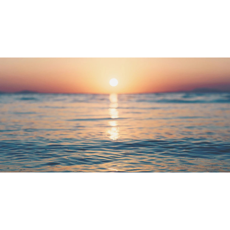 Honpo WP | Where the Sun Touched Water