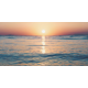 Wild Palace | Where the Sun Touched Water