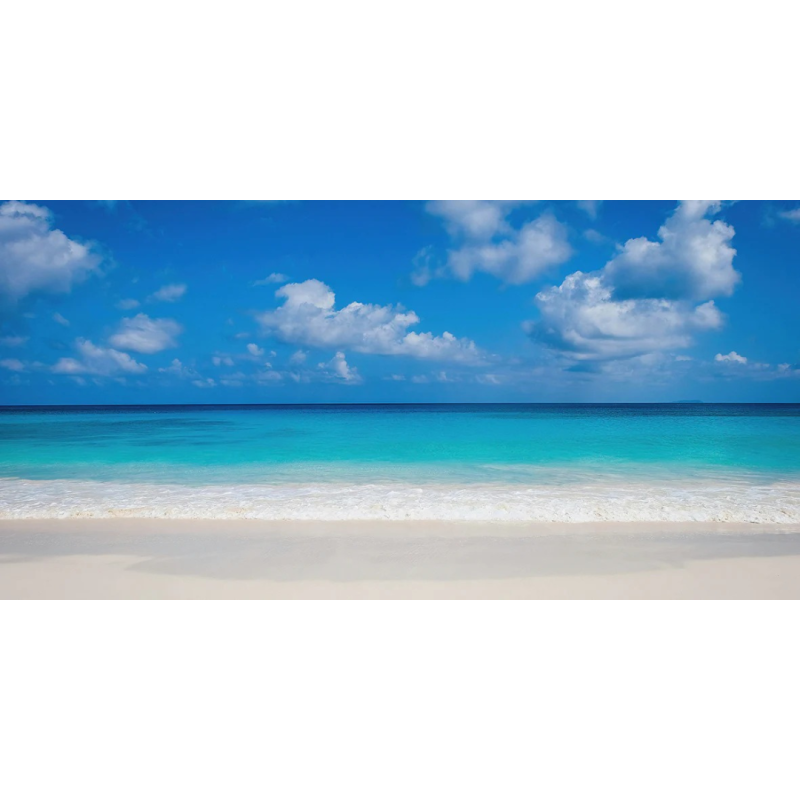 Honpo WP | White Coast