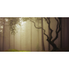 Honpo WP | Wooden Dreams