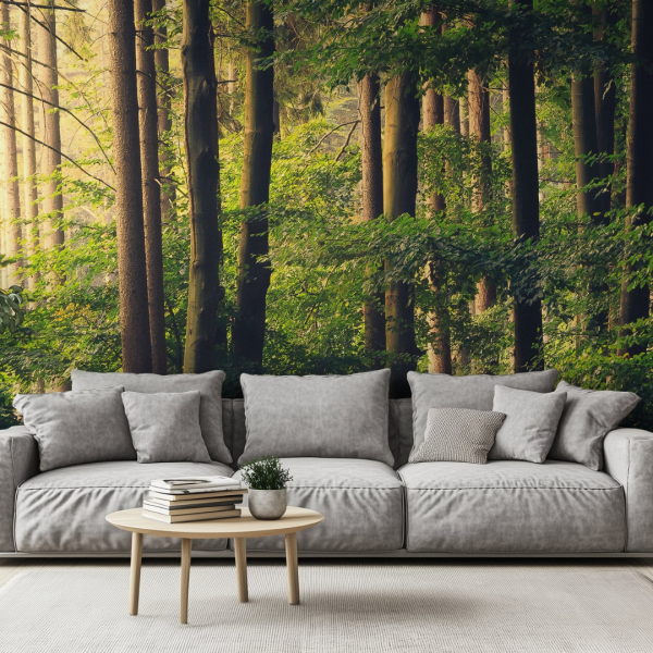 Honpo WP | Woodwake