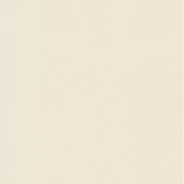 INFEEL / Solid Color Block / SM843