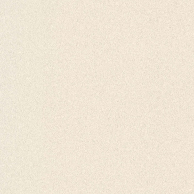 INFEEL / Solid Color Block / SM843