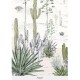 Isidore Leroy | Succulents
