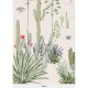 Isidore Leroy | Succulents