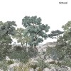 Isidore Leroy | Forêt de Bretagne