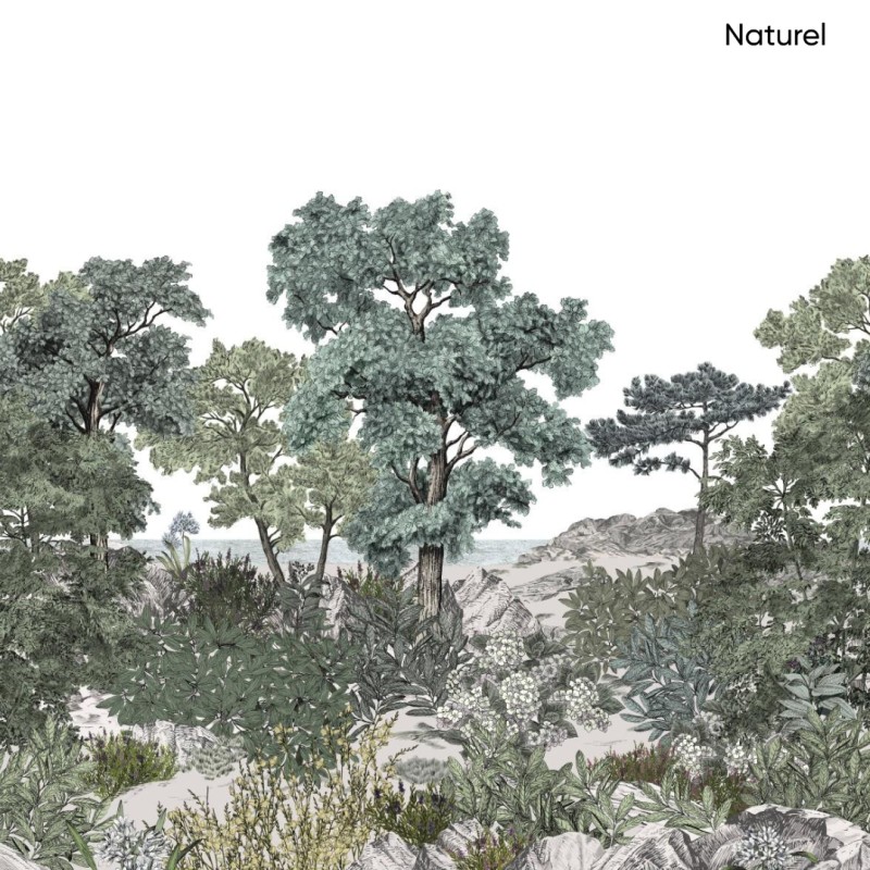 Isidore Leroy | Forêt de Bretagne