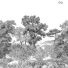 Isidore Leroy | Forêt de Bretagne