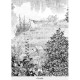 Isidore Leroy | Campagne