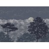 Isidore Leroy | Eclipse