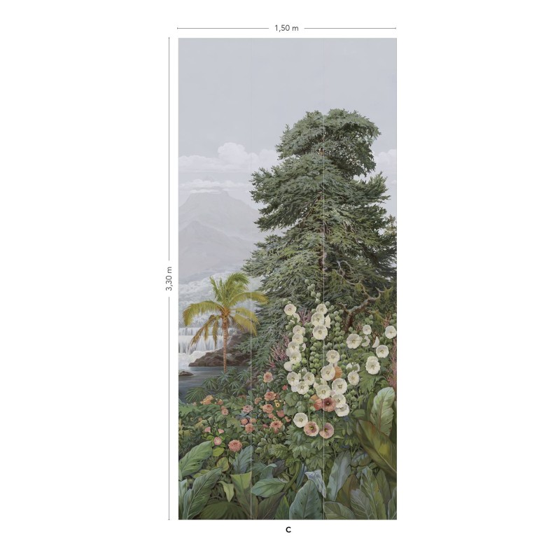 Isidore Leroy | Firone