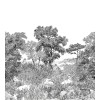 Isidore Leroy | Forêt de Bretagne