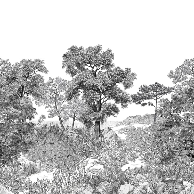 Isidore Leroy | Forêt de Bretagne