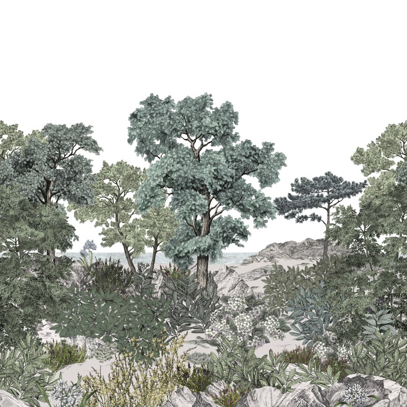 Isidore Leroy | Forêt de Bretagne