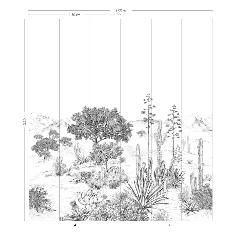 Isidore Leroy | Succulents
