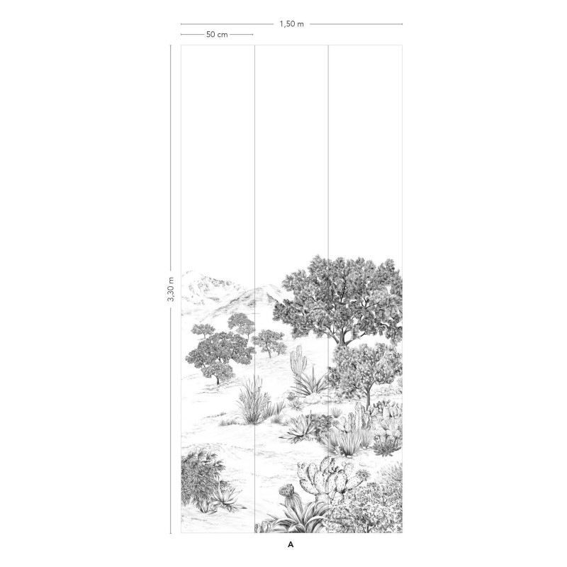 Isidore Leroy | Succulents