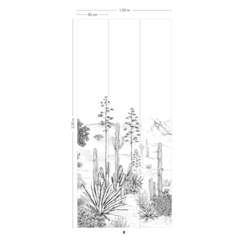 Isidore Leroy | Succulents