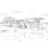 Isidore Leroy | Vallée du Rift