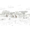 Isidore Leroy | Vallée du Rift
