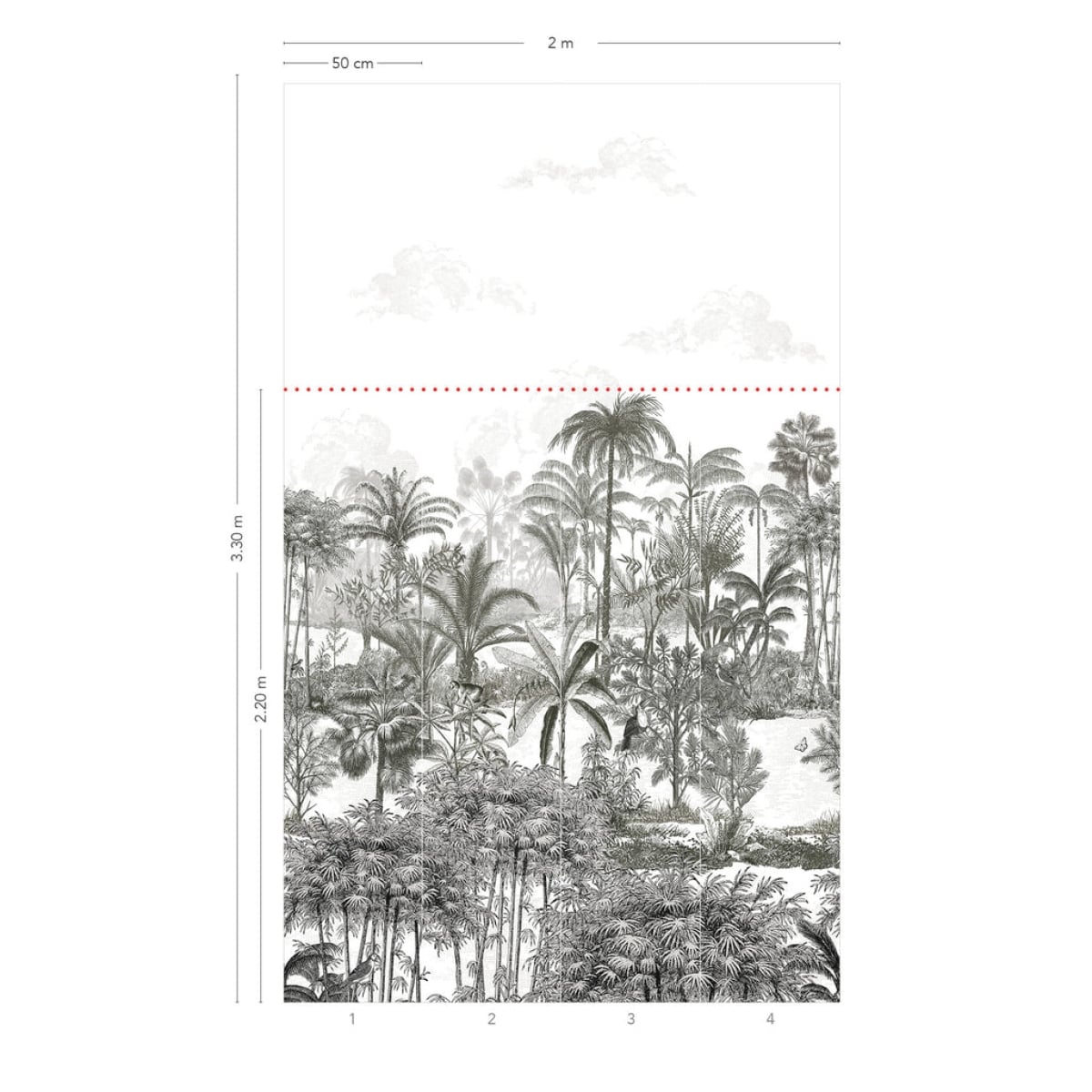 Isidore Leroy | Amazone