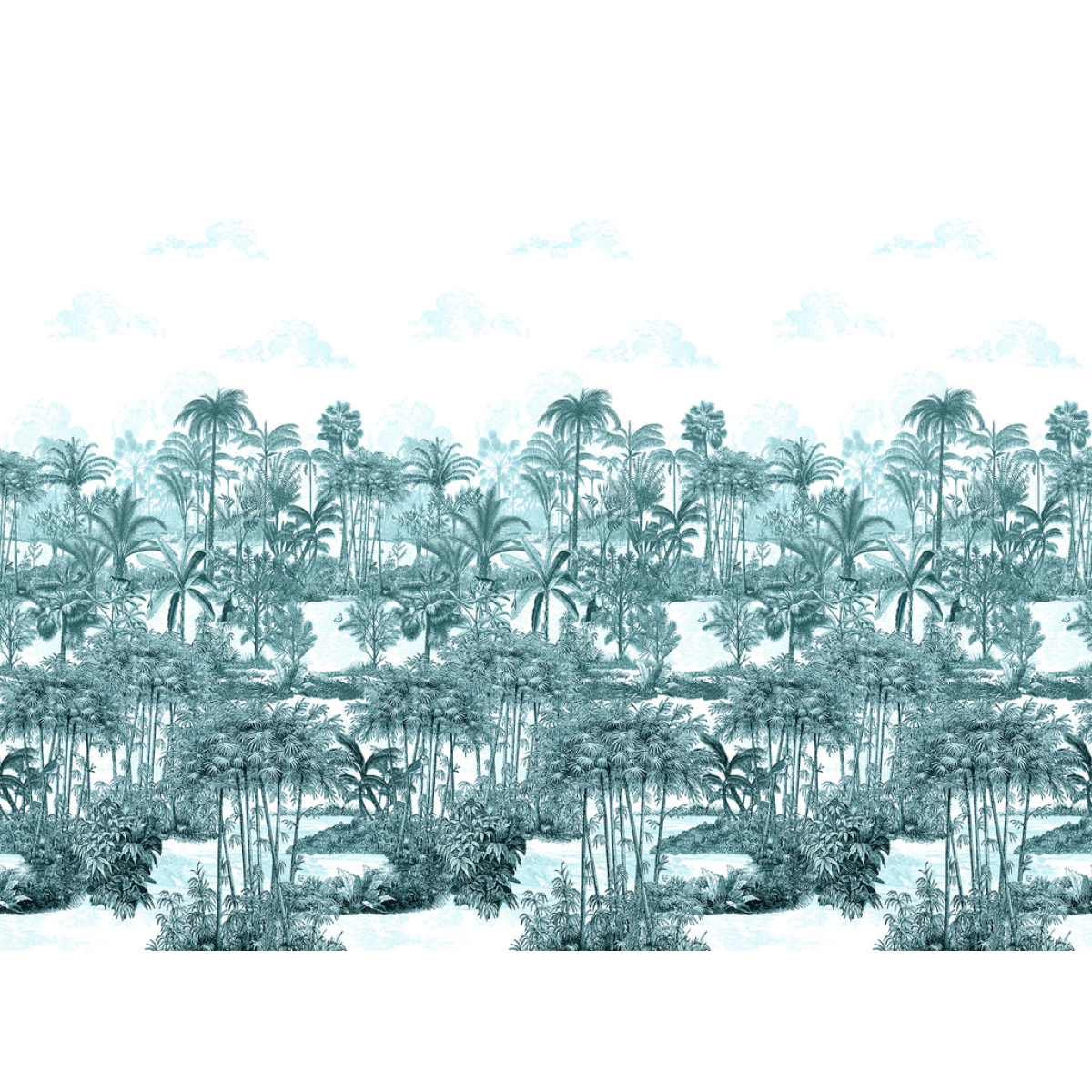 Isidore Leroy | Amazone