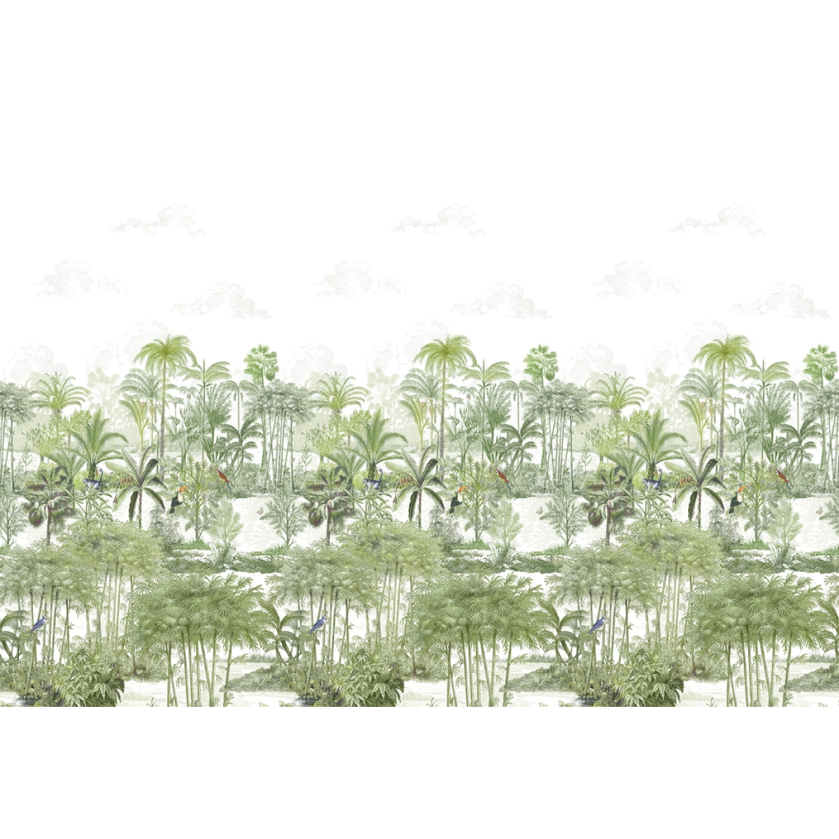 Isidore Leroy | Amazone