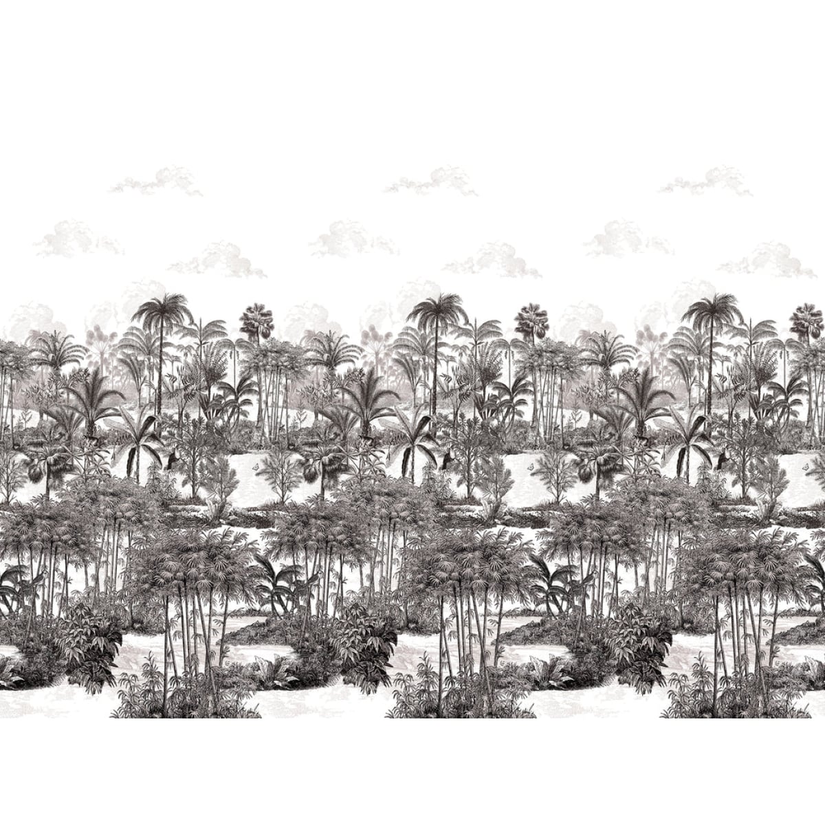 Isidore Leroy | Amazone