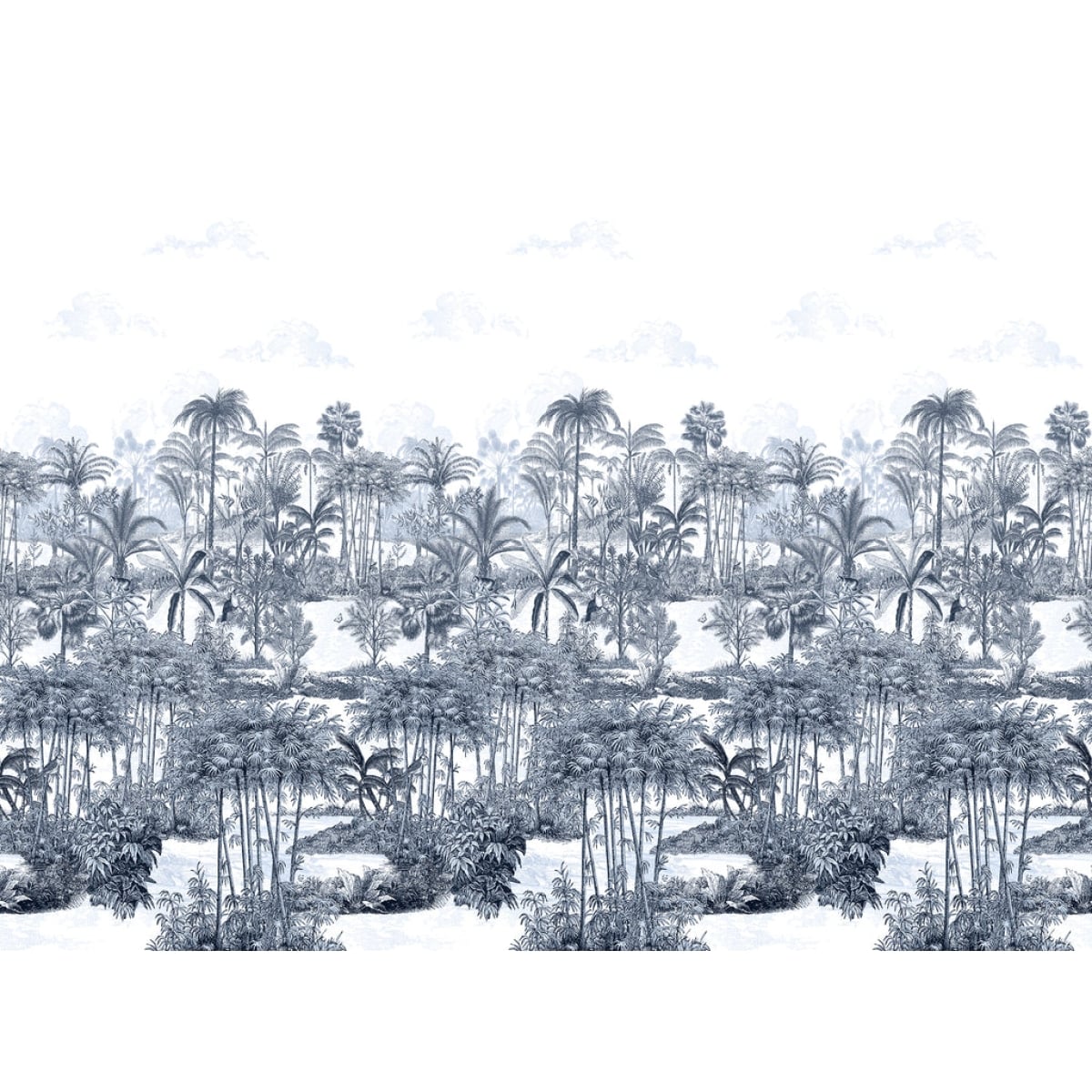 Isidore Leroy | Amazone