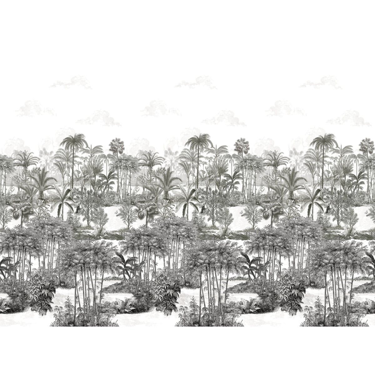 Isidore Leroy | Amazone