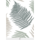 IL | FERN