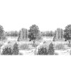 Isidore Leroy | Campagne