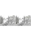 Isidore Leroy | Cypress
