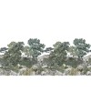 Isidore Leroy | Forêt de Bretagne