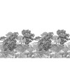 Isidore Leroy | Forêt de Bretagne