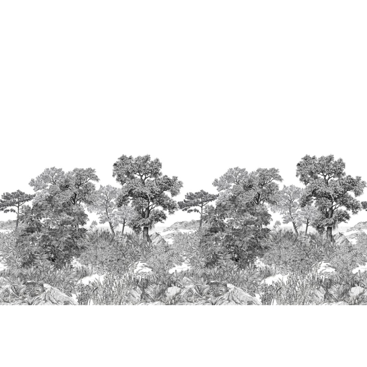 Isidore Leroy | Forêt de Bretagne