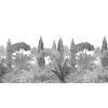 Isidore Leroy | Riviera