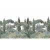 Isidore Leroy | Riviera