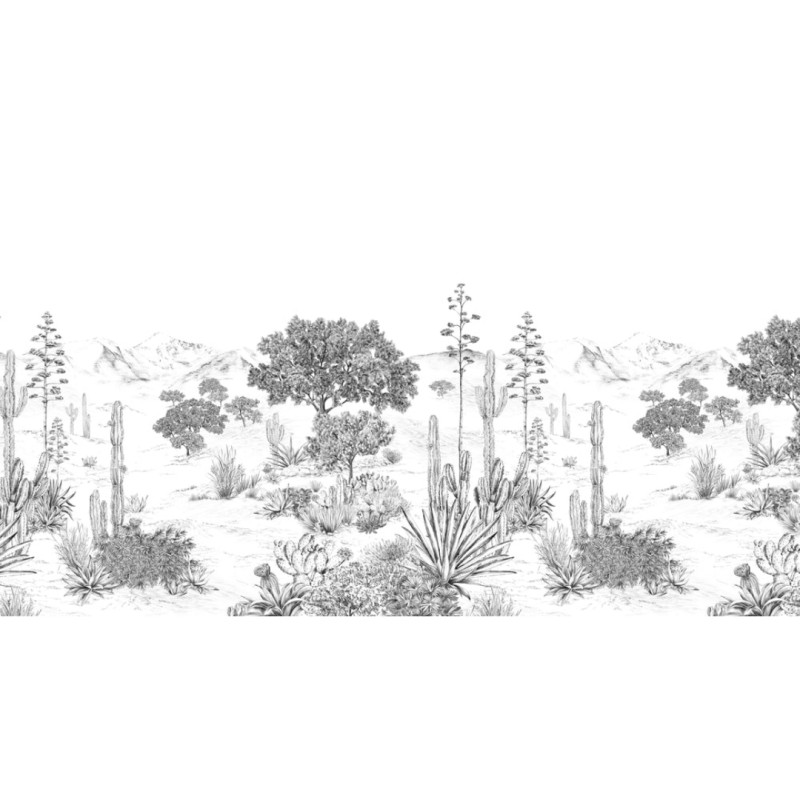 Isidore Leroy | Succulents