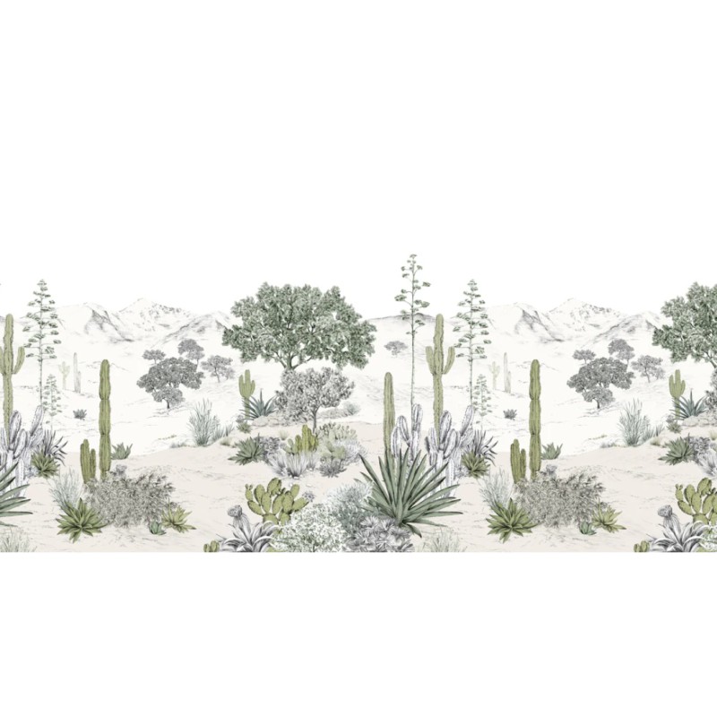 Isidore Leroy | Succulents