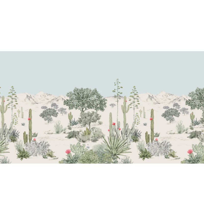 Isidore Leroy | Succulents