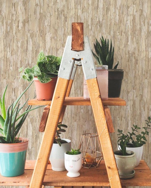KOZIEL | Beige Bark | 8888-208