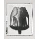 MINDTHEGAP | GEUM RIVALE by KARL BLOSSFELD Framed Art