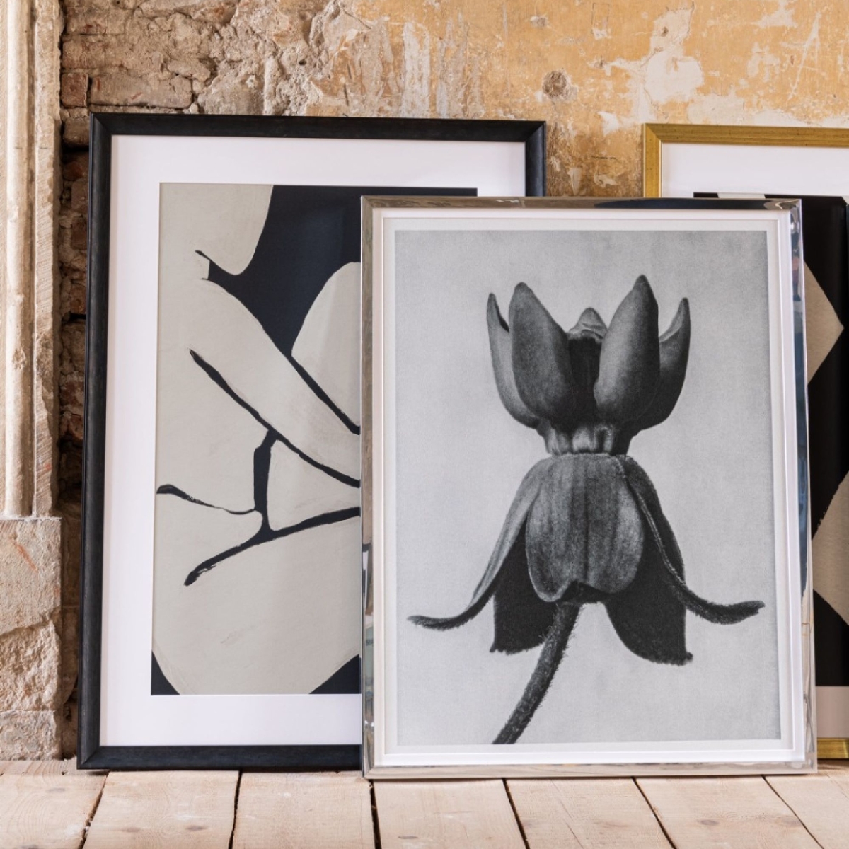 MINDTHEGAP | LA DOLCE VITA | Framed Art | MILKWEED by KARL BLOSSFELD 
