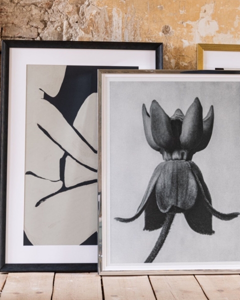 MINDTHEGAP | LA DOLCE VITA | Framed Art | MILKWEED by KARL BLOSSFELD 