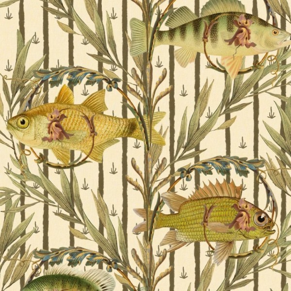 MINDTHEGAP | THE WETLANDS | SWEETWATER FISHES| WP20720