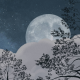Honpo | Noche de luna | HO-0070