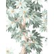 PaperMint | Ombrage